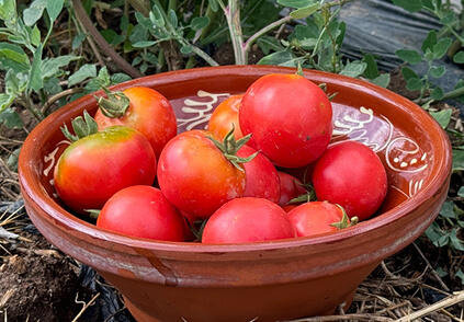 Afbeelding blog Kipcourgette 6